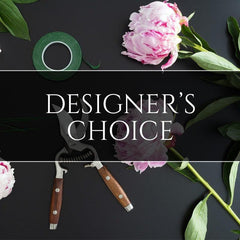 Designer&#39;s Choice