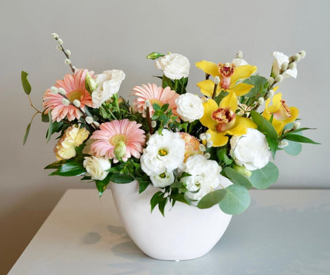 When spring meets the tropics