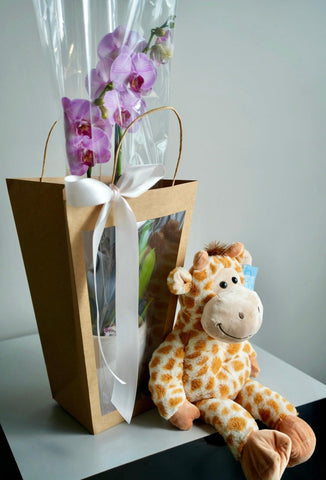 Memorable Surprise