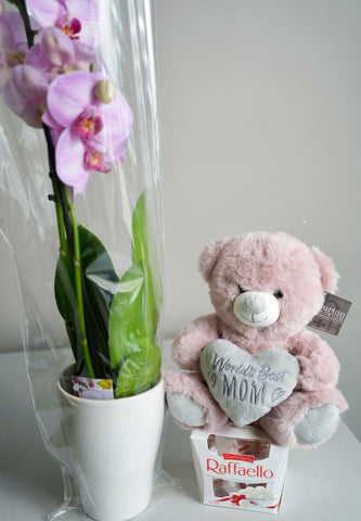 Adorable Bundle
