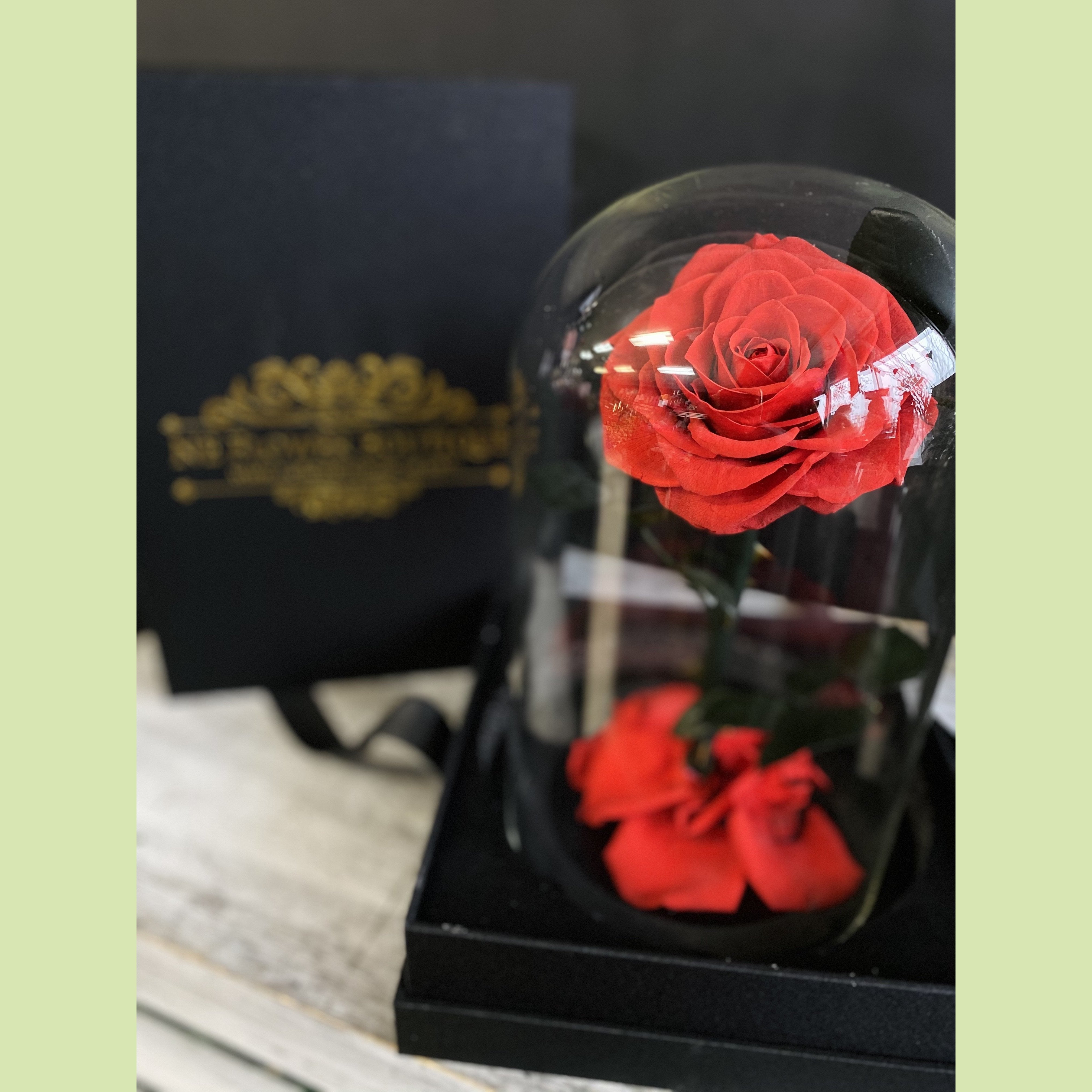 Dried Flowers The Beauty And Beast Eternal Real Rose Home Decor With LED in  Glass – Elegant Gift Store